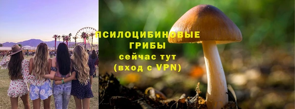 меф Армянск
