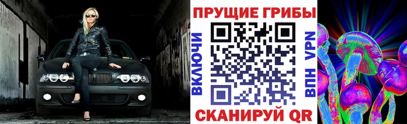 Галлюциногенные грибы Psilocybine cubensis  Краснотурьинск 